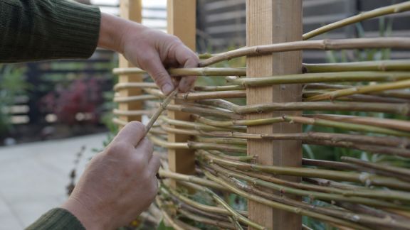 Installer un brise-vue naturel : matériaux, astuces et précautions à prendre