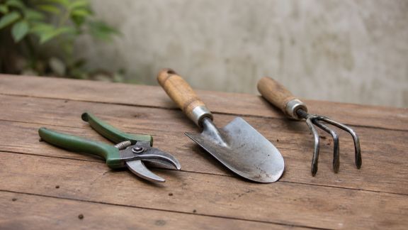 Guide d’entretien des outils de jardin pour prolonger leur durée de vie