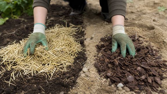Conseils pour sélectionner le bon paillage selon le type de sol