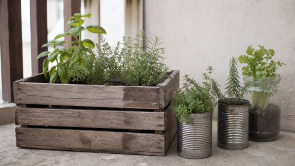Idées simples pour fabriquer des jardinières avec du matériel récupéré