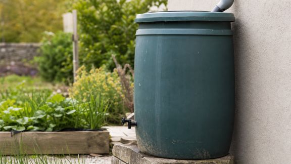 Choisir et entretenir un récupérateur d’eau de pluie au jardin
